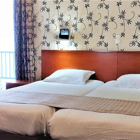 Hotel Palatino 4*